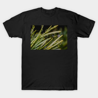 Freezing Rain II, Macro Droplets Photograph T-Shirt